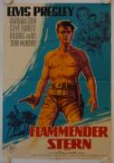 Flammender Stern (Flaming Star)